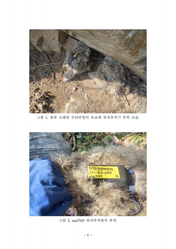 6페이지