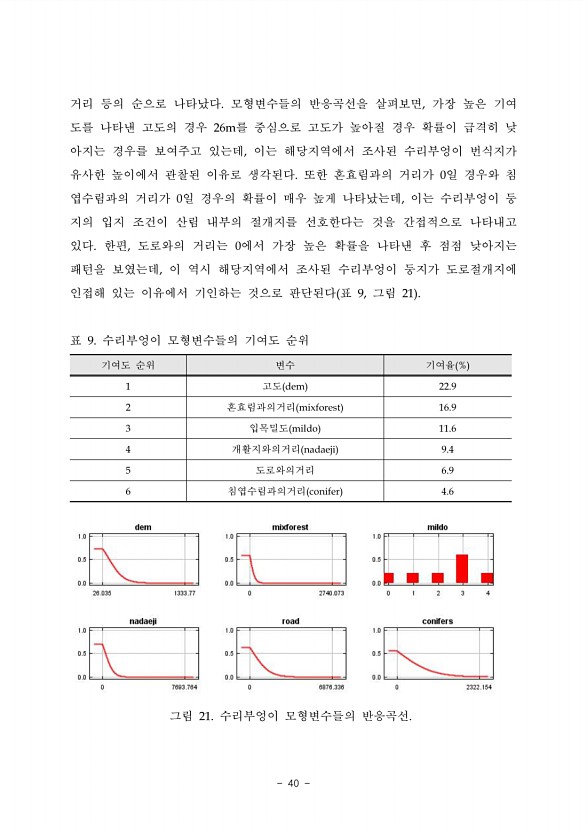 40페이지