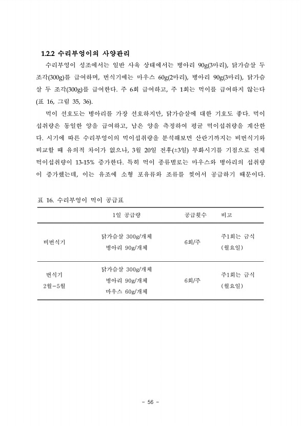 56페이지