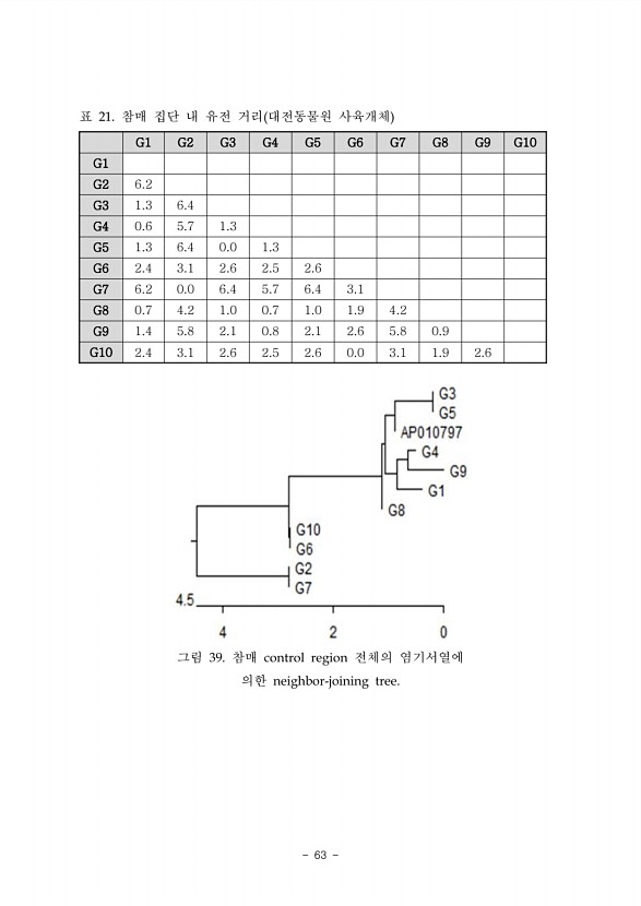 63페이지