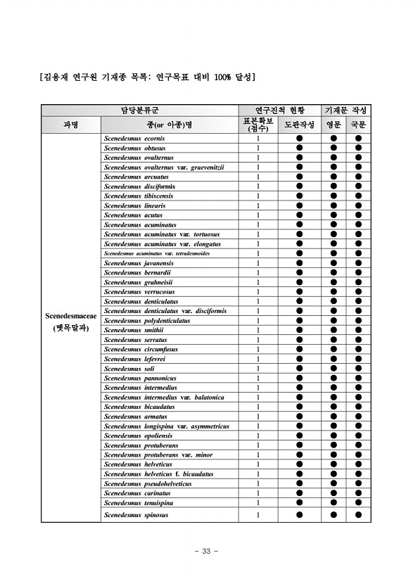 33페이지