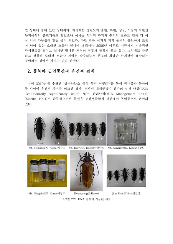 9페이지