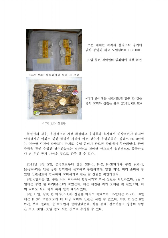 11페이지