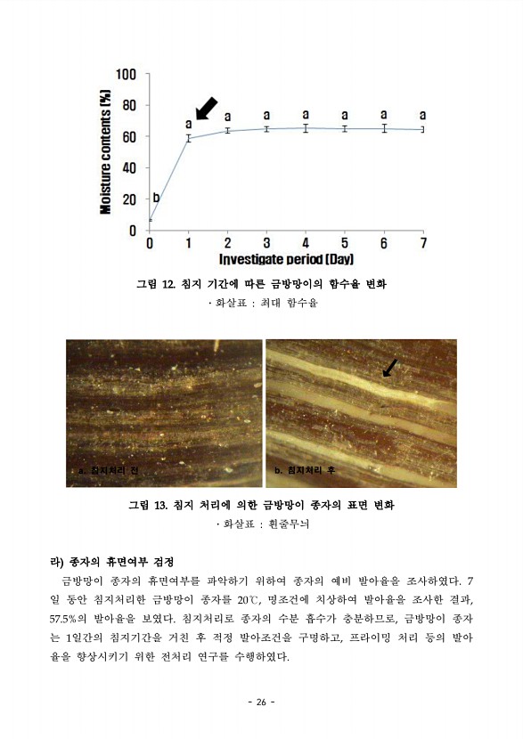 26페이지