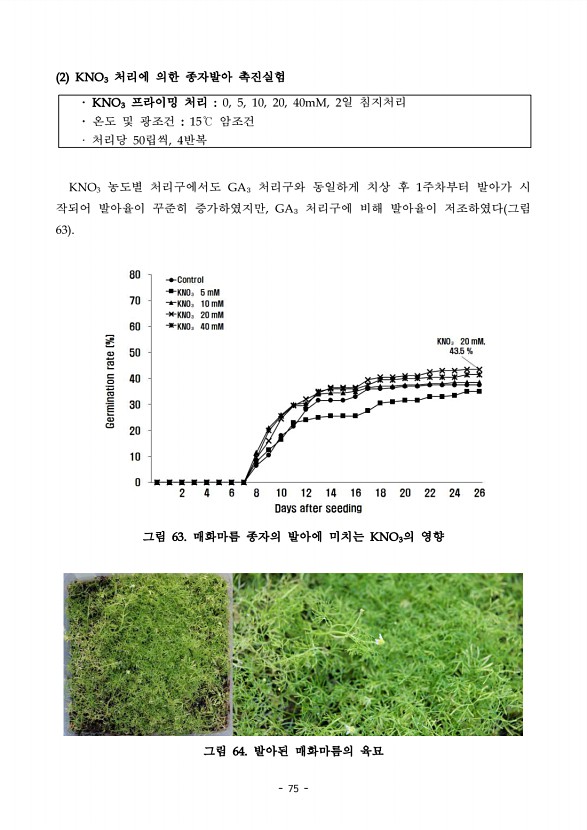 75페이지