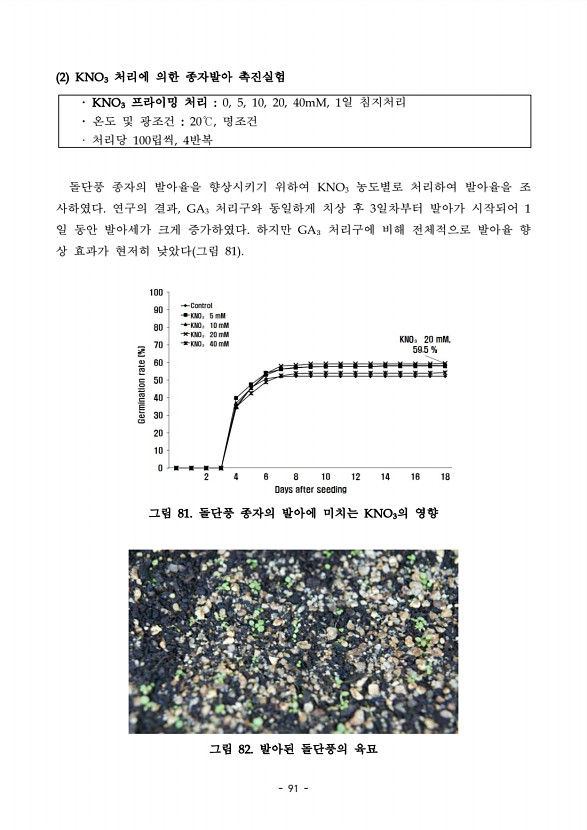 91페이지