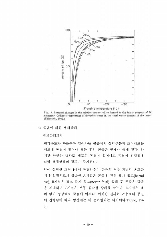 10페이지