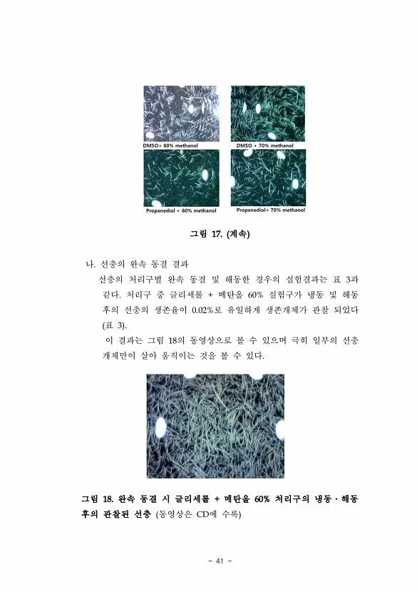 41페이지