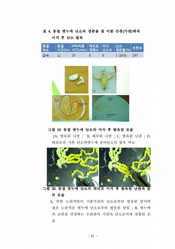 43페이지