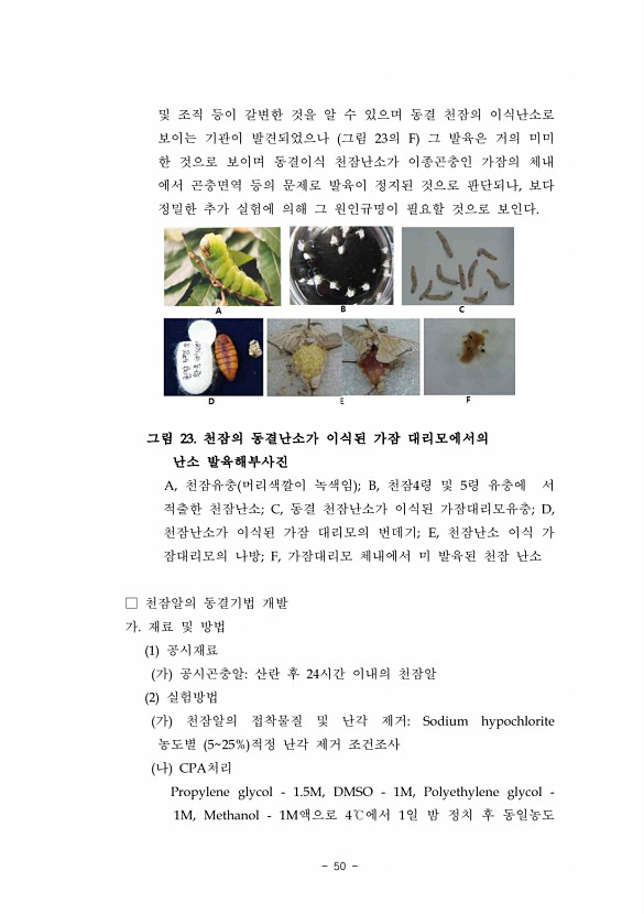 50페이지