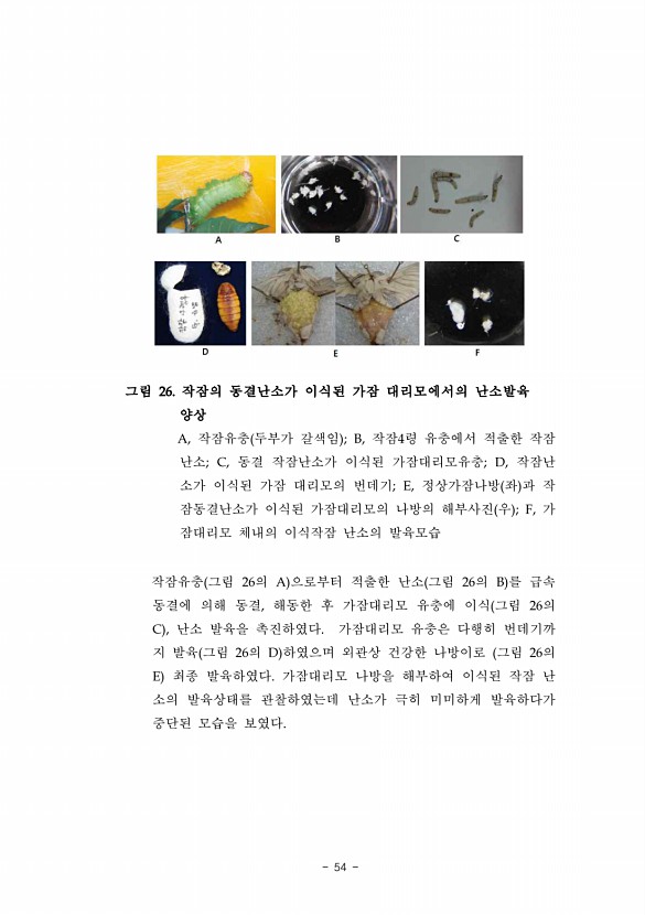 54페이지