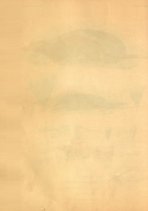 132페이지