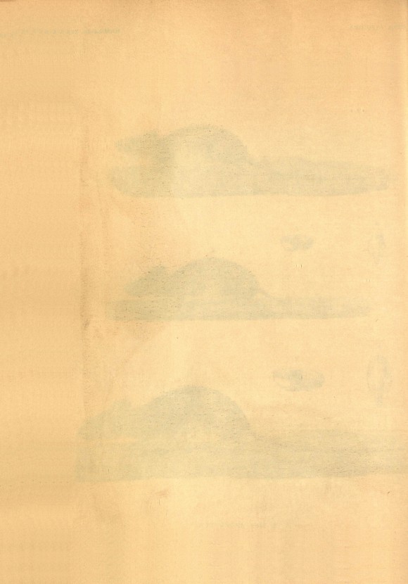 152페이지