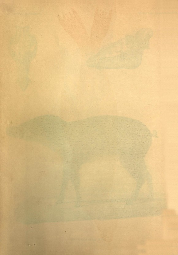 169페이지
