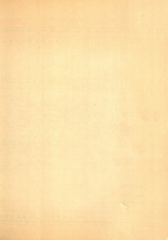 291페이지