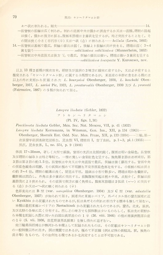 76페이지