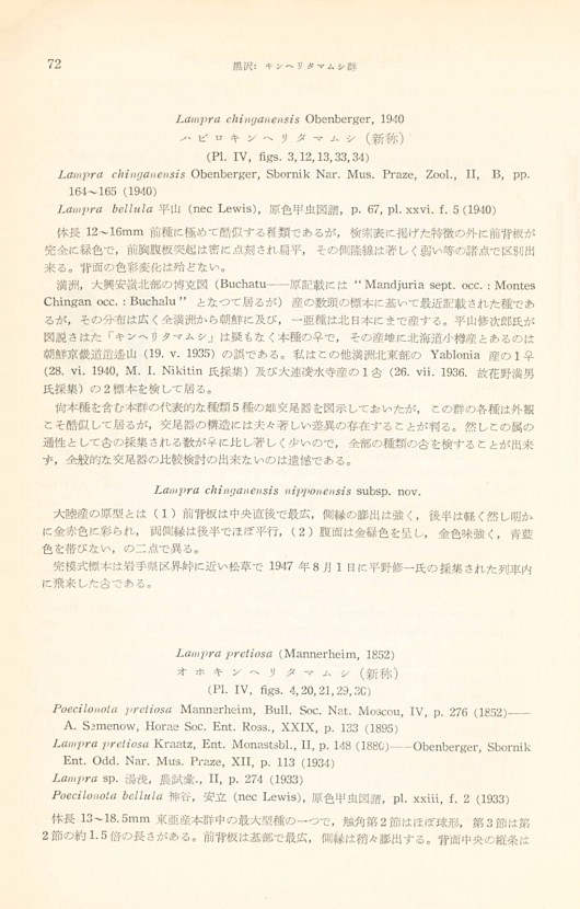 78페이지
