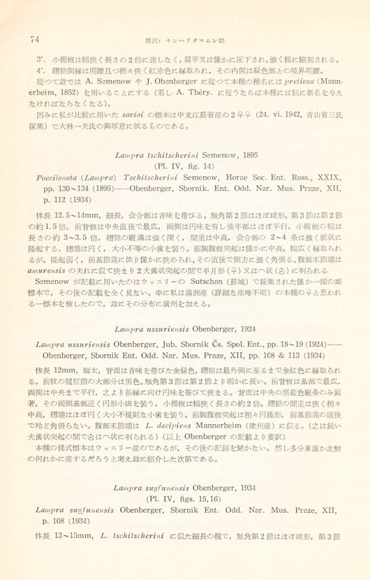80페이지