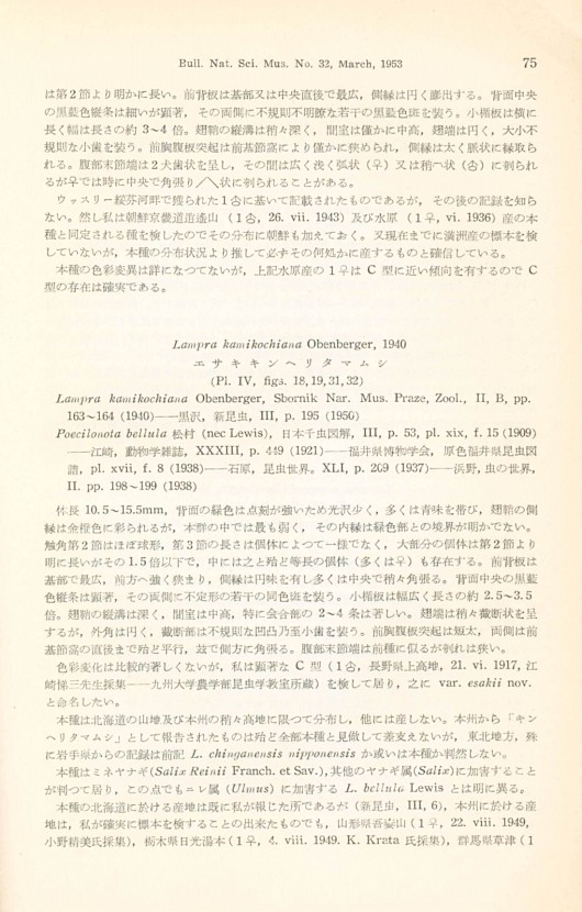 81페이지