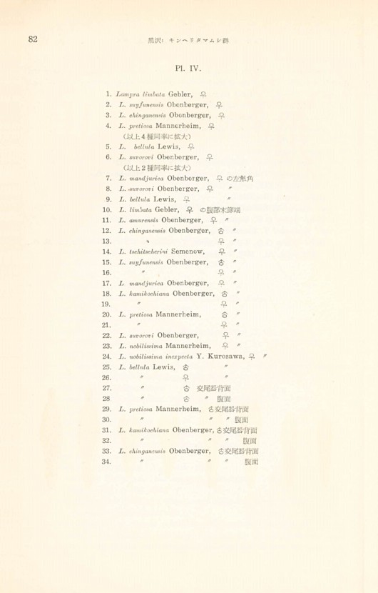 88페이지