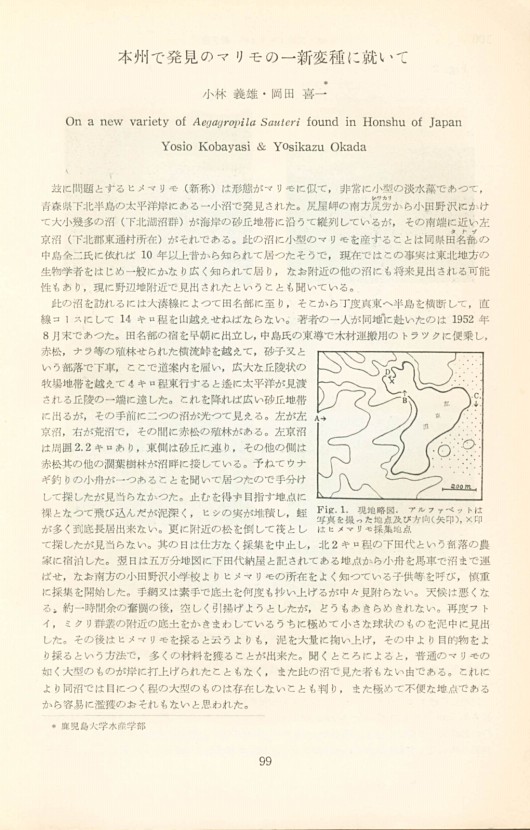 113페이지