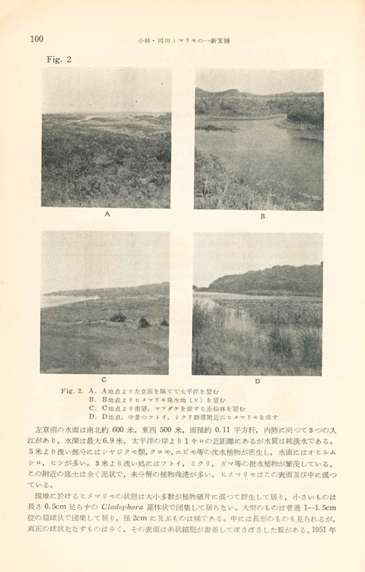 114페이지