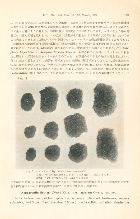 115페이지