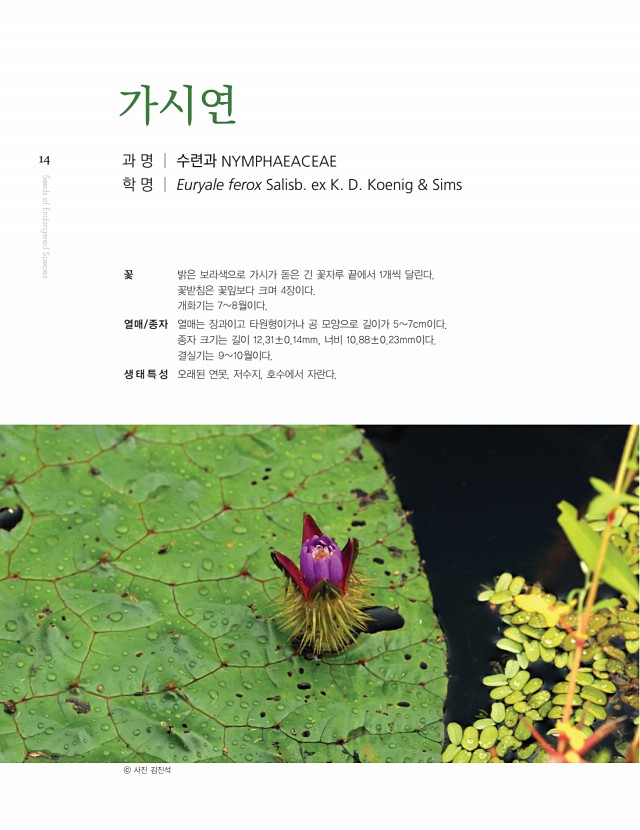 3페이지