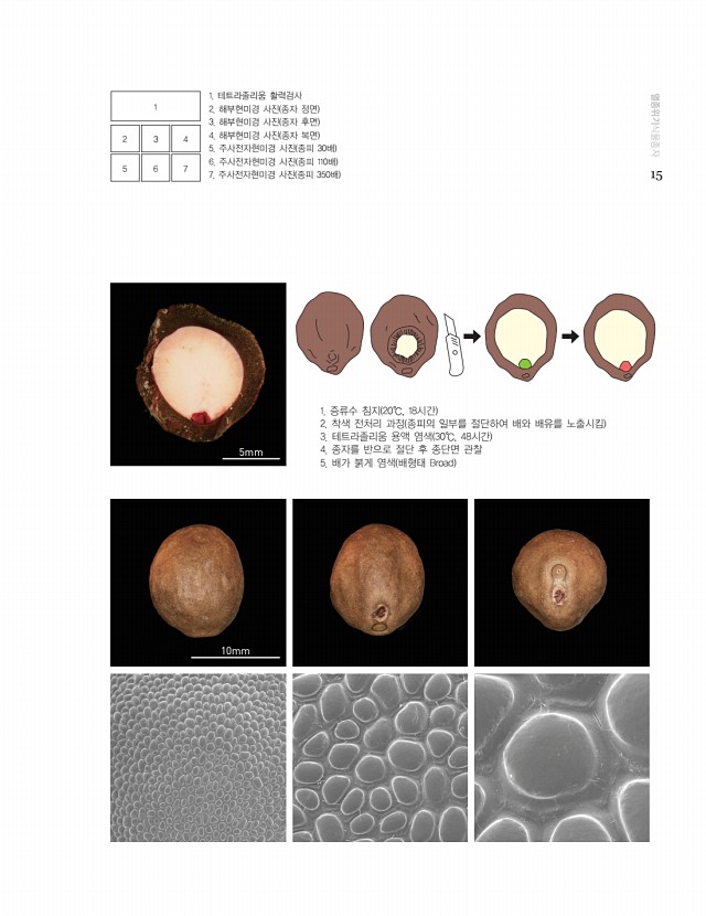 3페이지