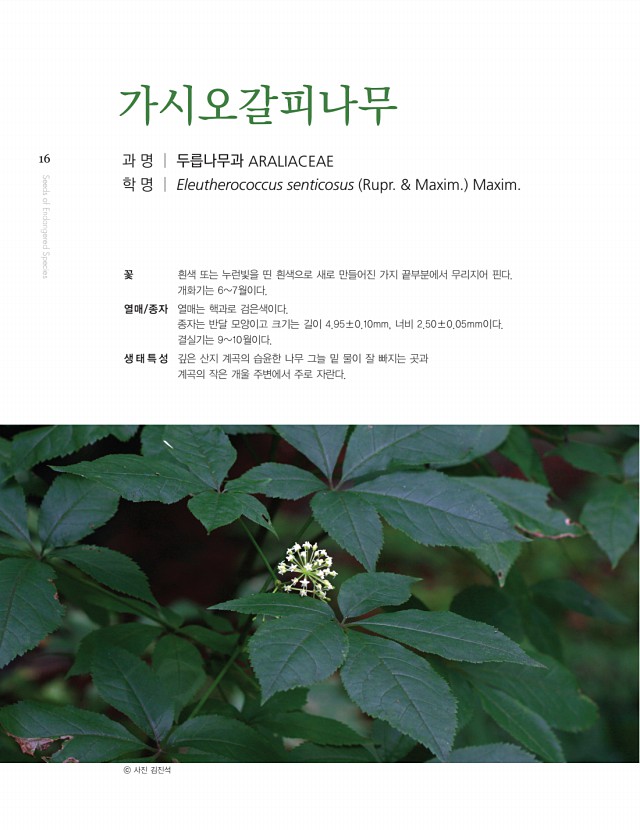 6페이지