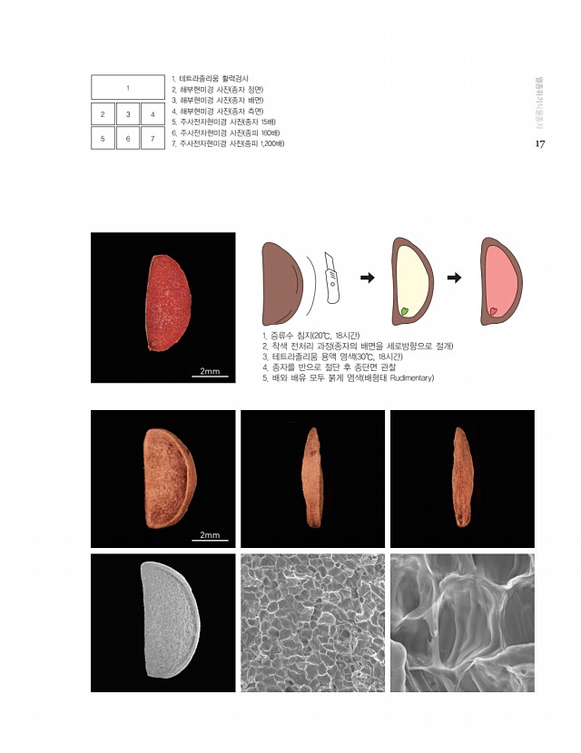 7페이지