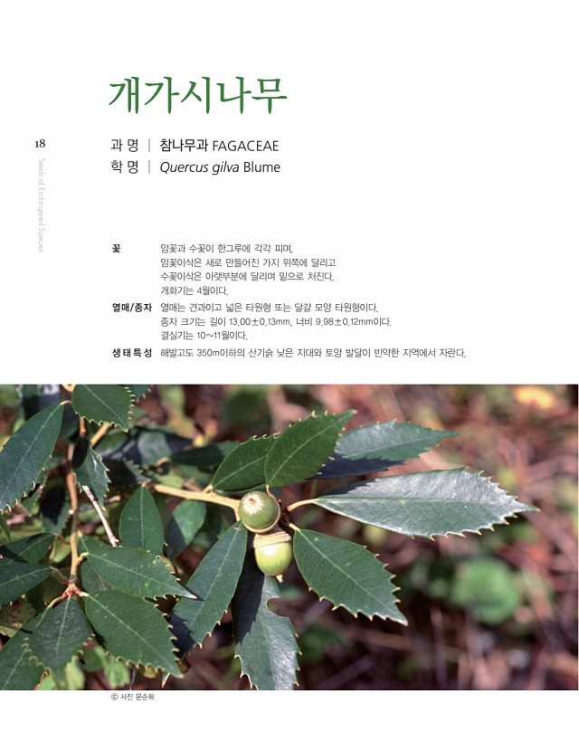 8페이지