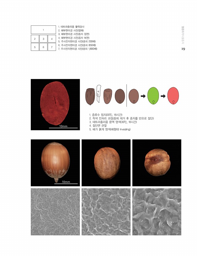 9페이지