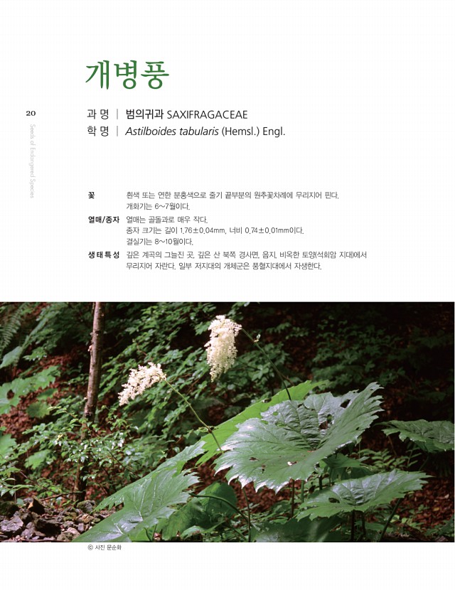 10페이지