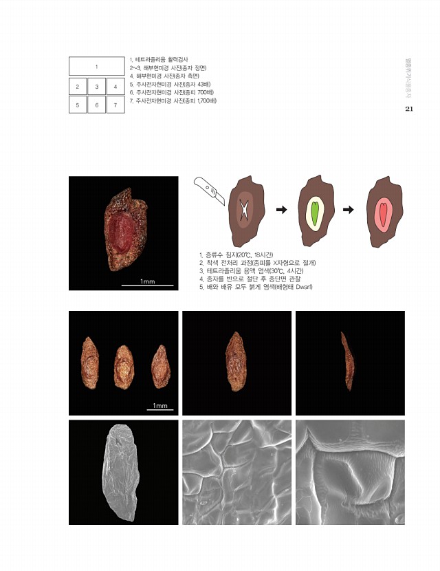 11페이지