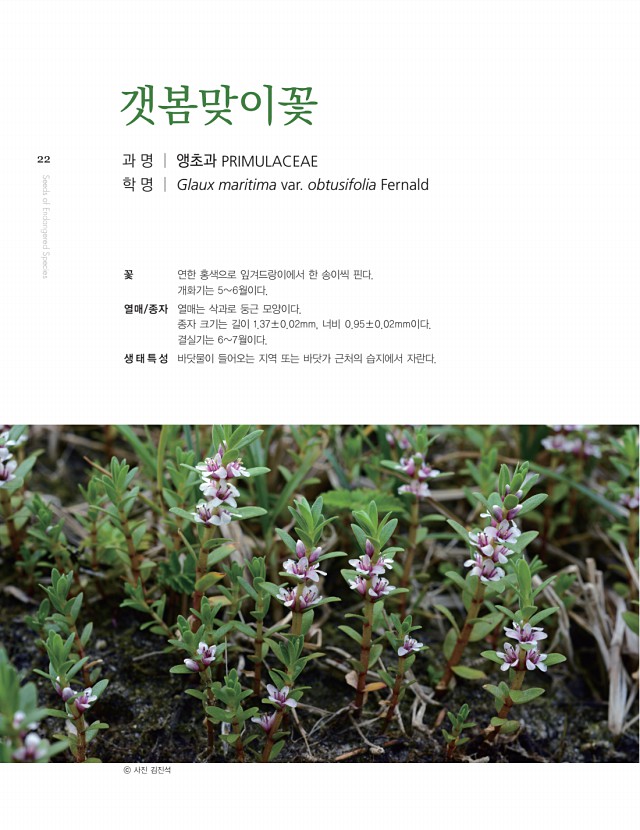 12페이지