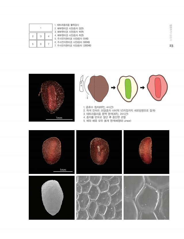 13페이지