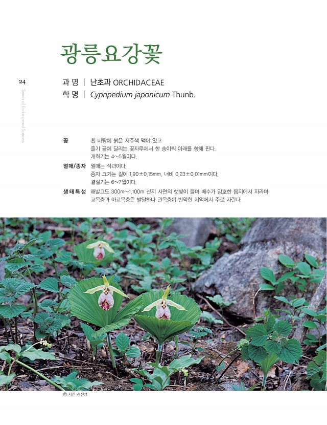14페이지