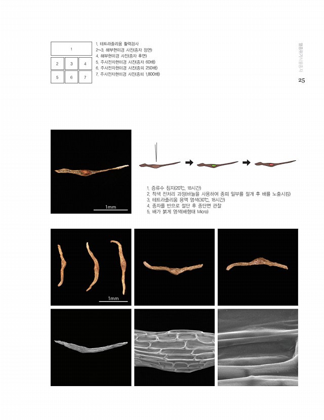 15페이지