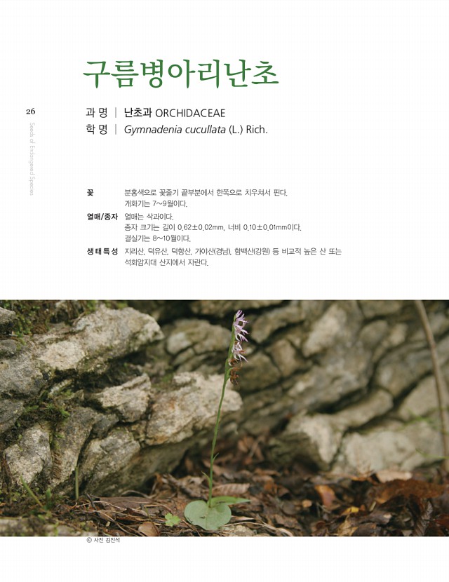16페이지