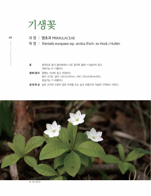 18페이지