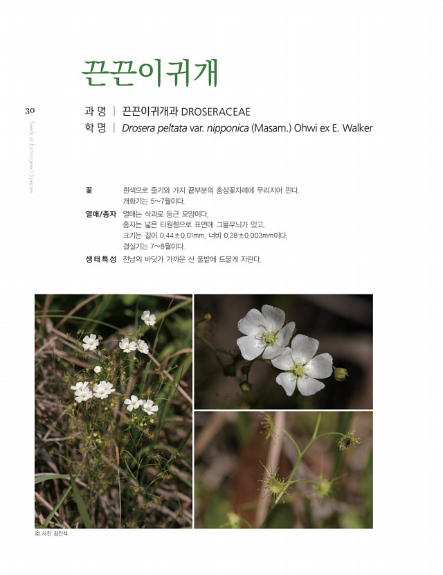 20페이지