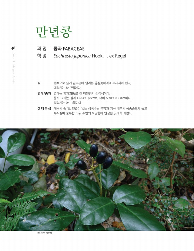 46페이지