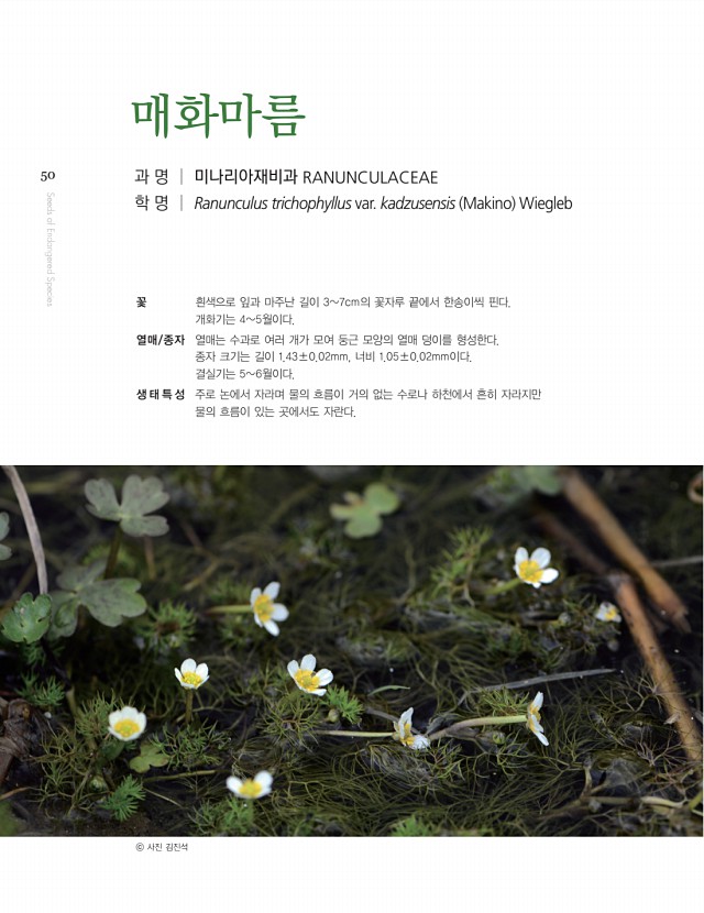48페이지