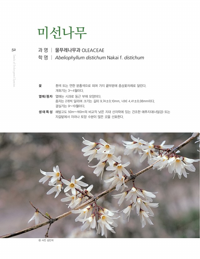 50페이지