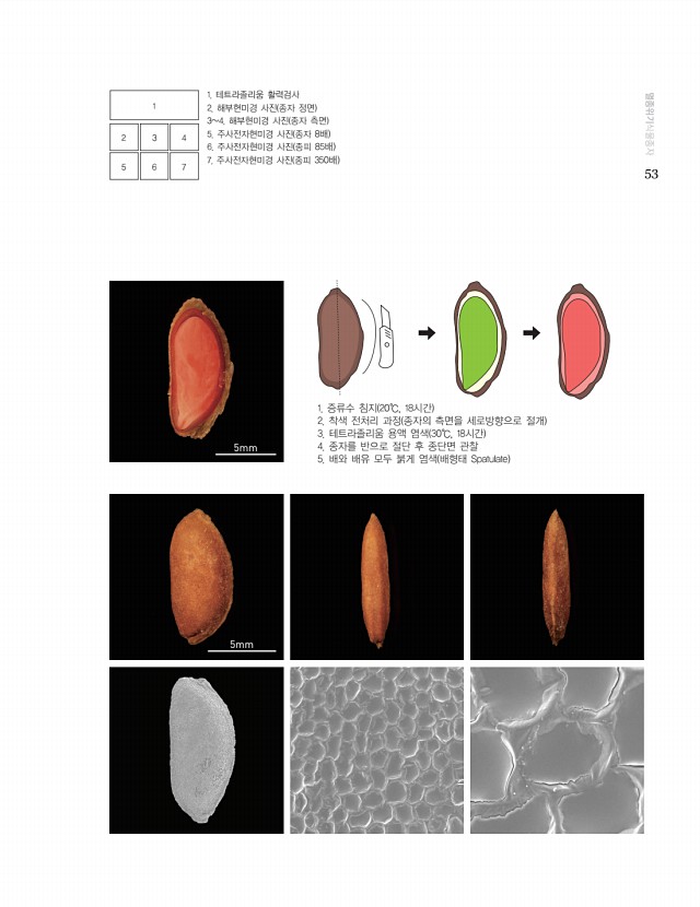 51페이지