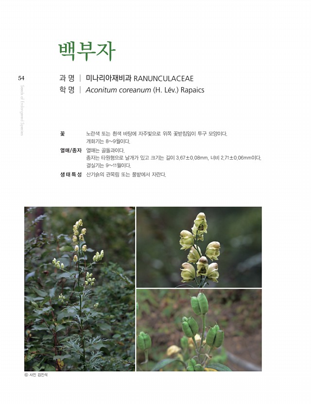 52페이지