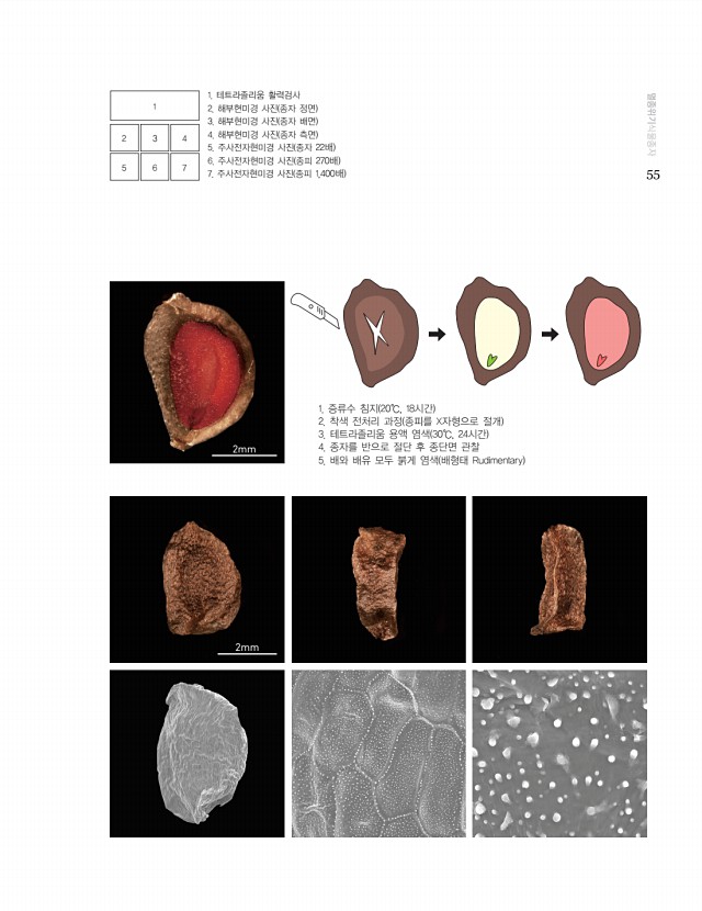 53페이지