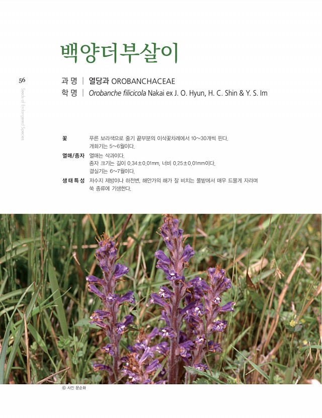 54페이지