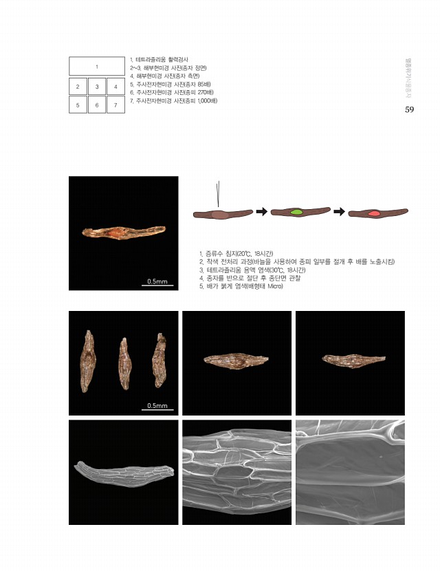 57페이지